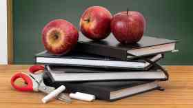 Calls for discrimination against citizenship teachers to end