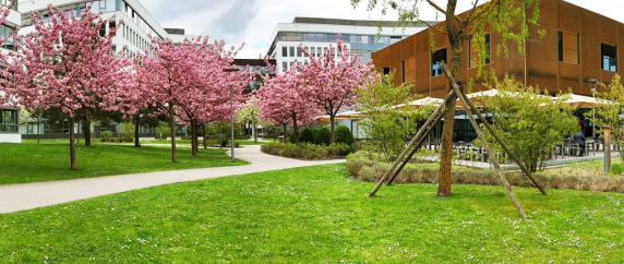 School with natural spaces