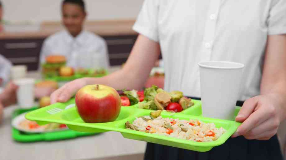 Child with school lunch