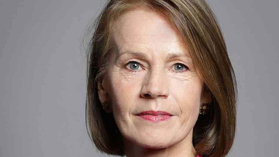 Baroness Bull appointed to chair Cultural Education Plan advisory panel