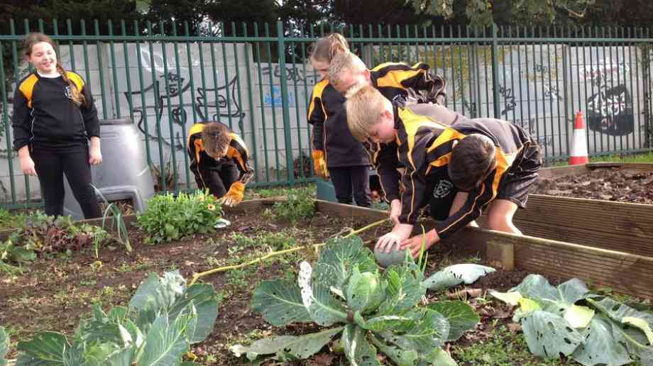 A group of children in brown uniforms tend to a garden.