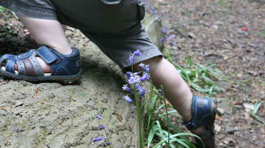 30 Days Wild © Laura Budden