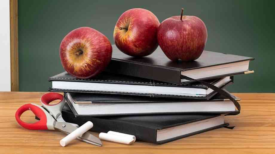 Calls for discrimination against citizenship teachers to end