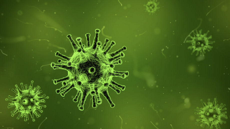 Image by Arek Socha from Pixabay