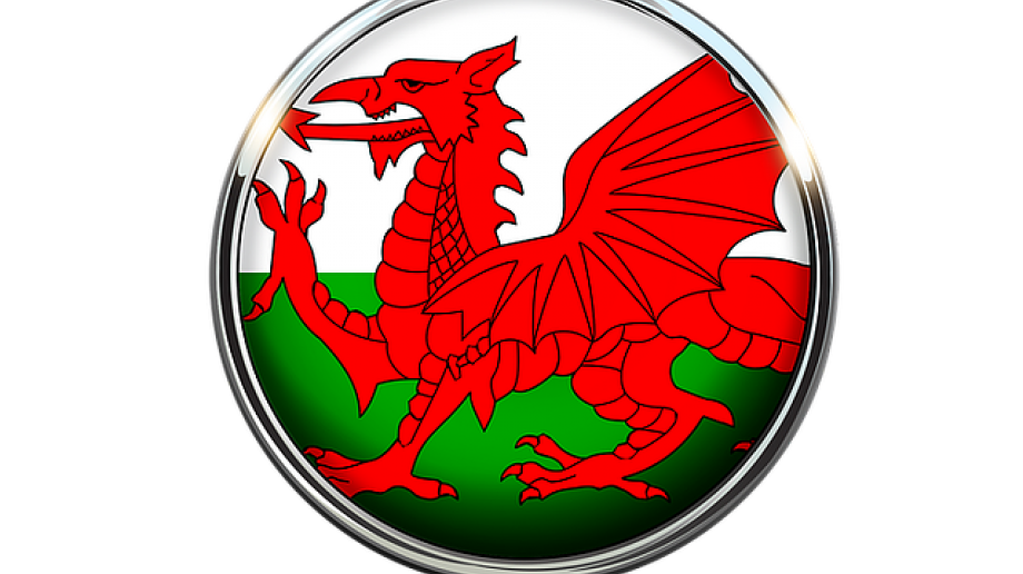 Wales passes Additional Learning Needs and Education Tribunal Bill